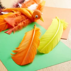 Quill Feather Mix by Creatology™