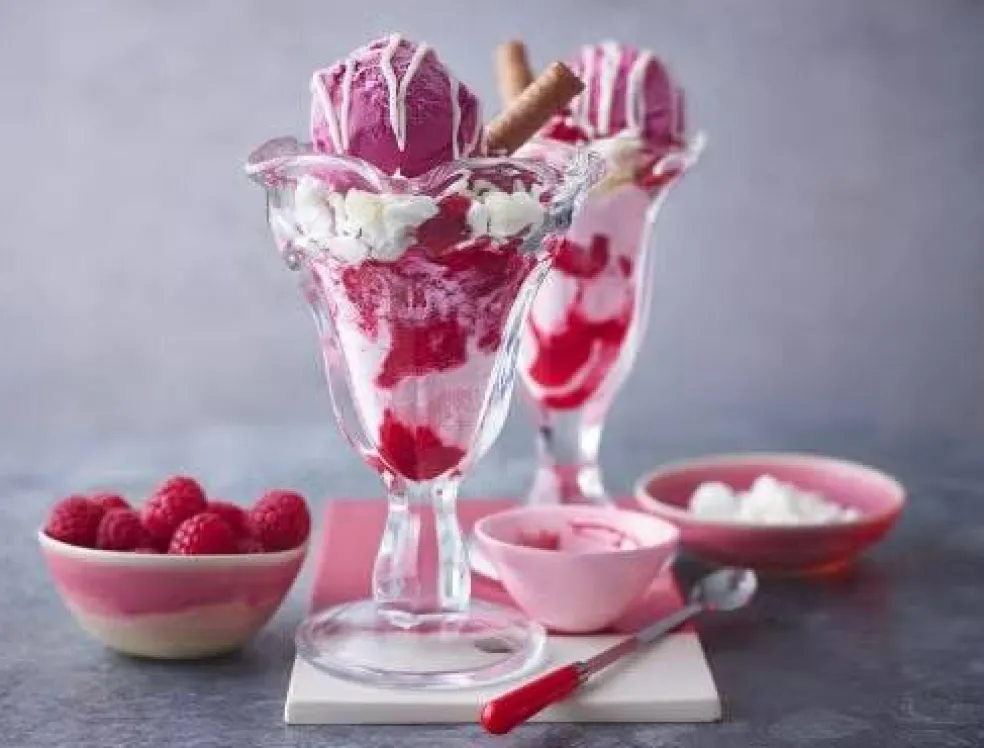 Raspberry EZ Squeeze Filling 2 lb | Raspberry Pie Filling & Ice Cream Sundae Topping