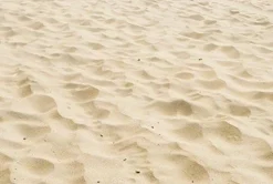 Real Beach Sand Edible Icing Image for Cake or Cupcake Cookie Topper