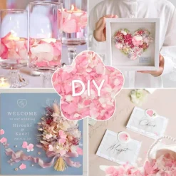 1500+ Real Dried Hydrangea Flower Petals