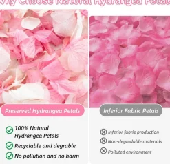 1500+ Real Dried Hydrangea Flower Petals