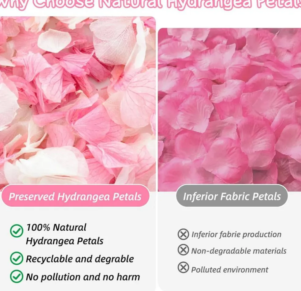 1500+ Real Dried Hydrangea Flower Petals