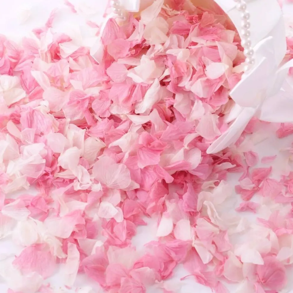 1500+ Real Dried Hydrangea Flower Petals