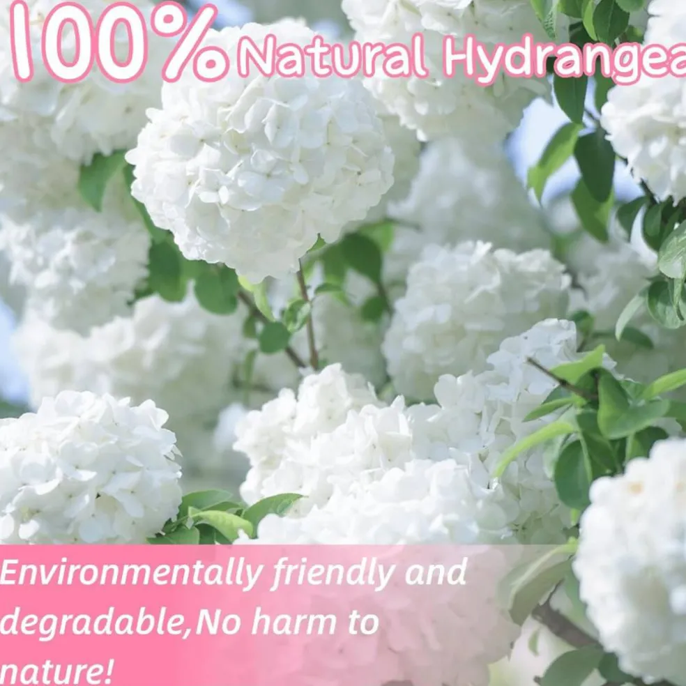 1500+ Real Dried Hydrangea Flower Petals