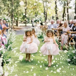 2500+ Real Dried Lvory White Hydrangea Petals