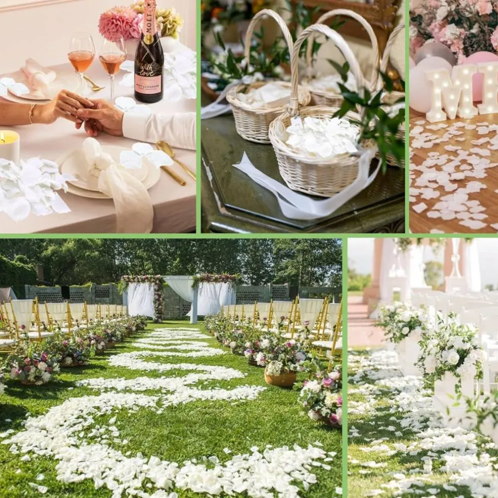 2500+ Real Dried Lvory White Hydrangea Petals