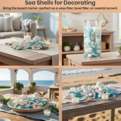 Real Mixed Beach Seashells with Blue & Green Starfish & Aqua and Blue Sea Glass White Decorative Sea Shell Décor & Blue Seaglass Pieces