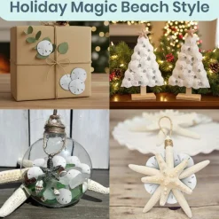 Real Sand Dollars Under 1" (100 Pack) – Sand Dollar Wall Art & Ornament Set – Beach Wedding Decor – Nautical Party Table Decor – Mini Shells for Crafts – Coastal Gifts