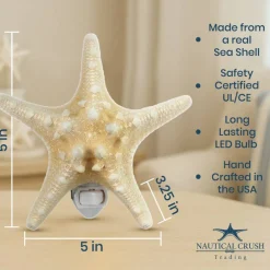 Real Starfish Night Light Knobby Starfish Nautical Night Light Beach Night Light Plug in Bathroom Night Light Seashell Light Nautical Night Light Plug in