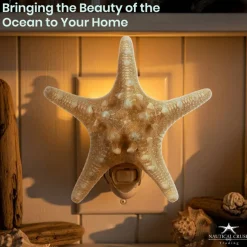 Real Starfish Night Light Knobby Starfish Nautical Night Light Beach Night Light Plug in Bathroom Night Light Seashell Light Nautical Night Light Plug in