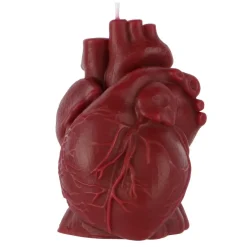 Red Anatomical Heart Candle by Ashland®