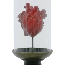 11.75" Red Anatomical Heart in Cloche Tabletop Décor by Ashland®