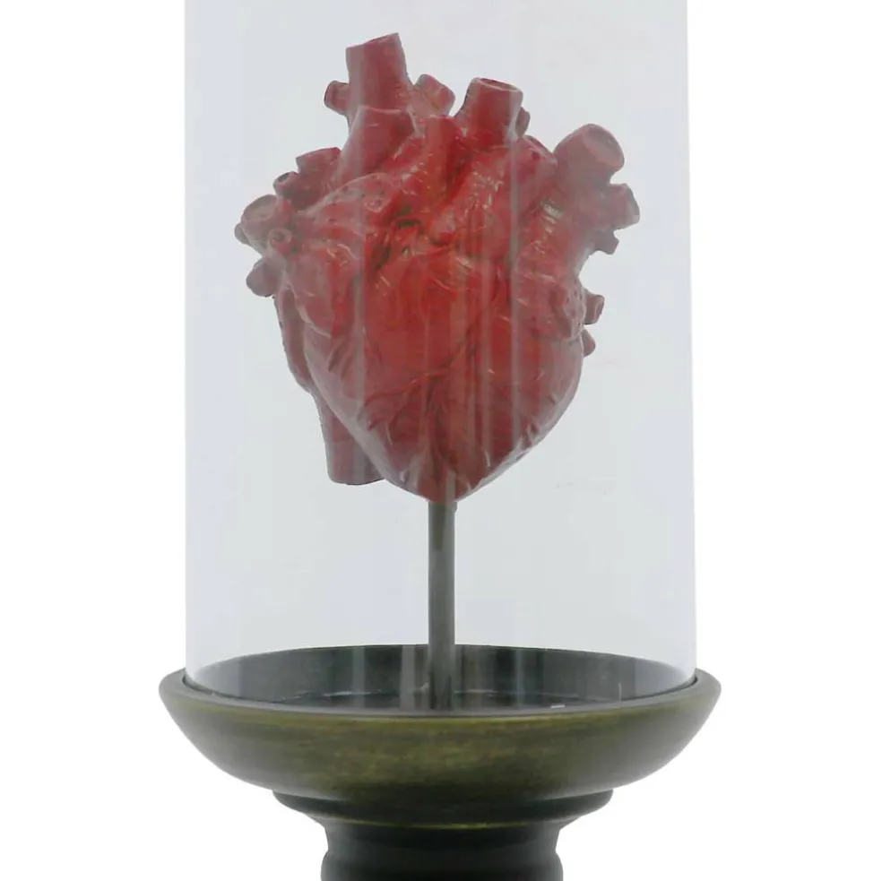11.75" Red Anatomical Heart in Cloche Tabletop Décor by Ashland®