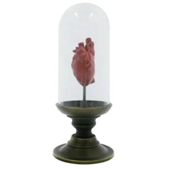 11.75" Red Anatomical Heart in Cloche Tabletop Décor by Ashland®