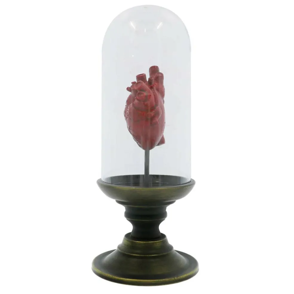 11.75" Red Anatomical Heart in Cloche Tabletop Décor by Ashland®
