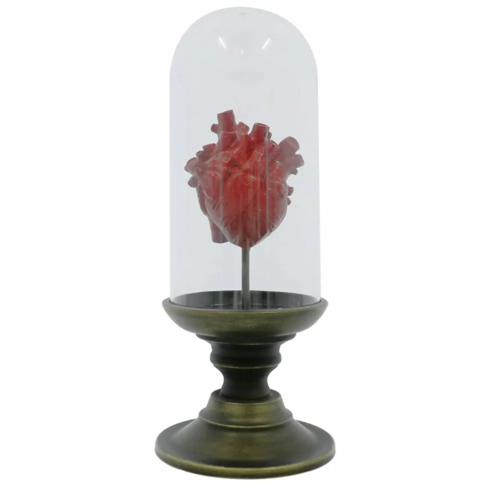 11.75" Red Anatomical Heart in Cloche Tabletop Décor by Ashland®