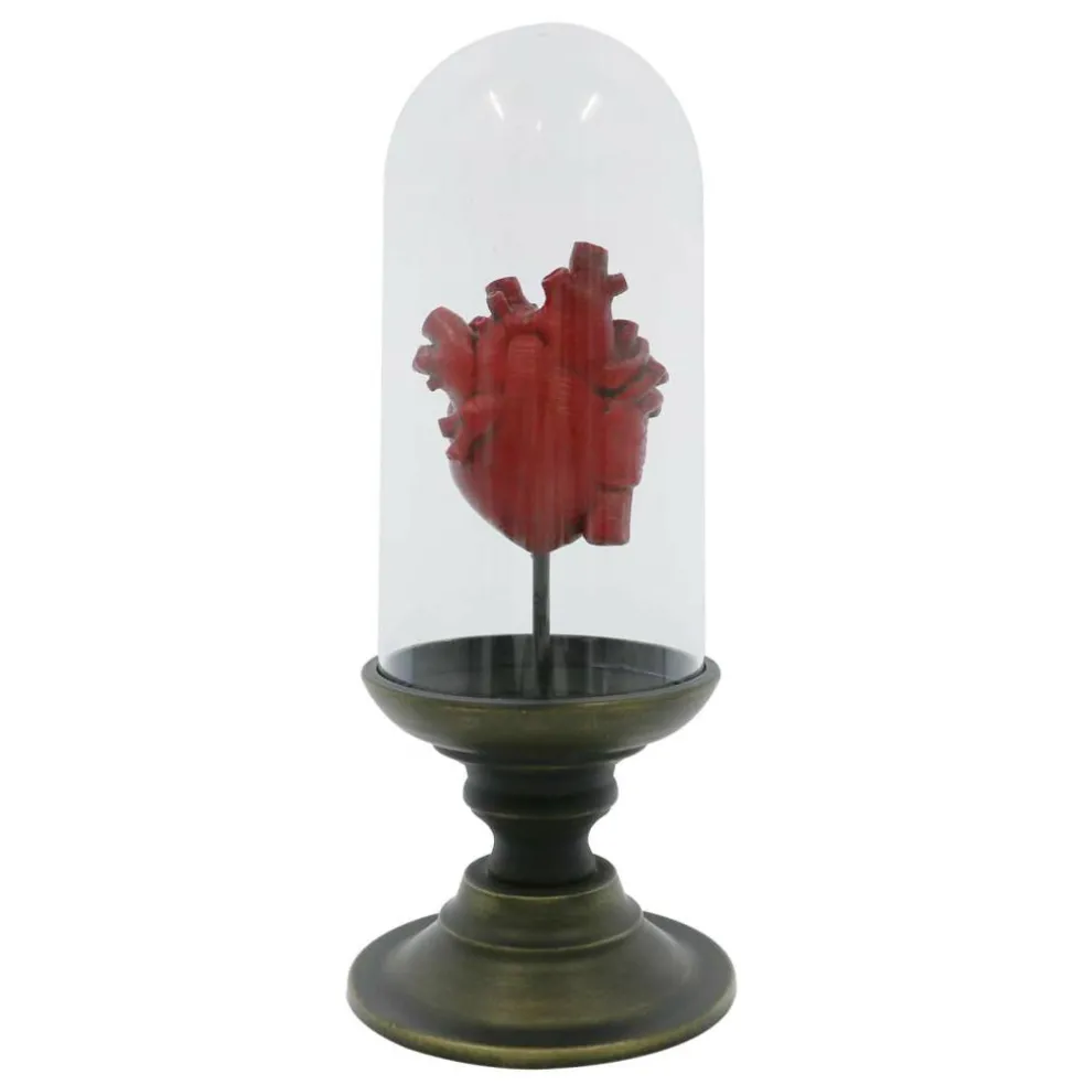 11.75" Red Anatomical Heart in Cloche Tabletop Décor by Ashland®