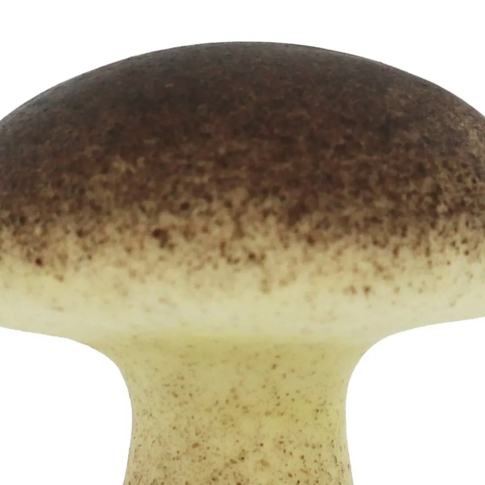 Red & Brown Mushroom Mix by Ashland®