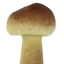Red & Brown Mushroom Mix by Ashland®
