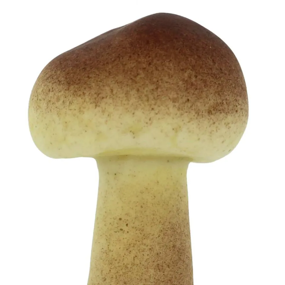 Red & Brown Mushroom Mix by Ashland®