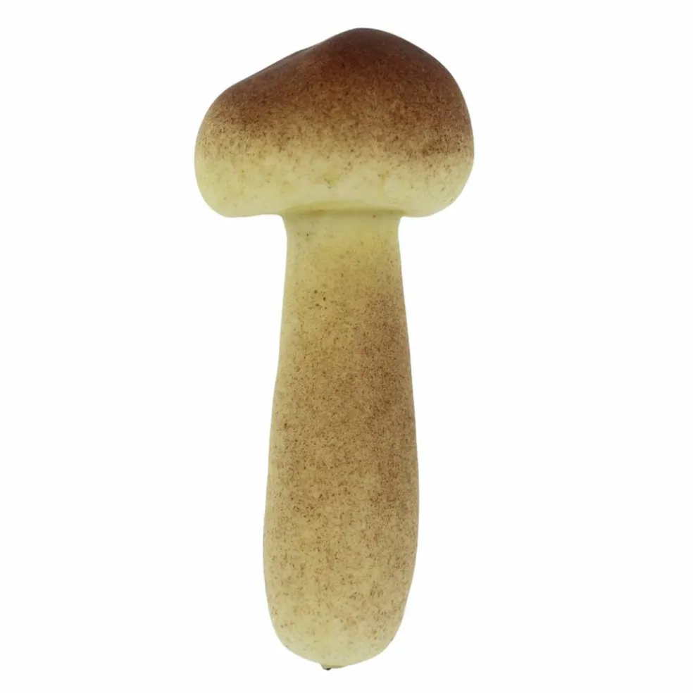 Red & Brown Mushroom Mix by Ashland®