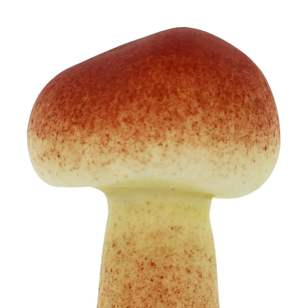 Red & Brown Mushroom Mix by Ashland®