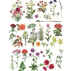 Redesign Decor Transfers Floral Collection 24
