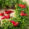 Red Feather Cardinals, 6ct. by Ashland®