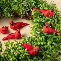 Red Feather Cardinals, 6ct. by Ashland®