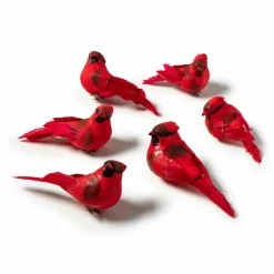 Red Feather Cardinals, 6ct. by Ashland®