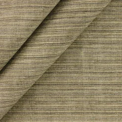 Richloom Solarium Espresso Trim Outdoor Fabric