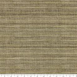 Richloom Solarium Espresso Trim Outdoor Fabric
