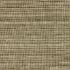 Richloom Solarium Espresso Trim Outdoor Fabric