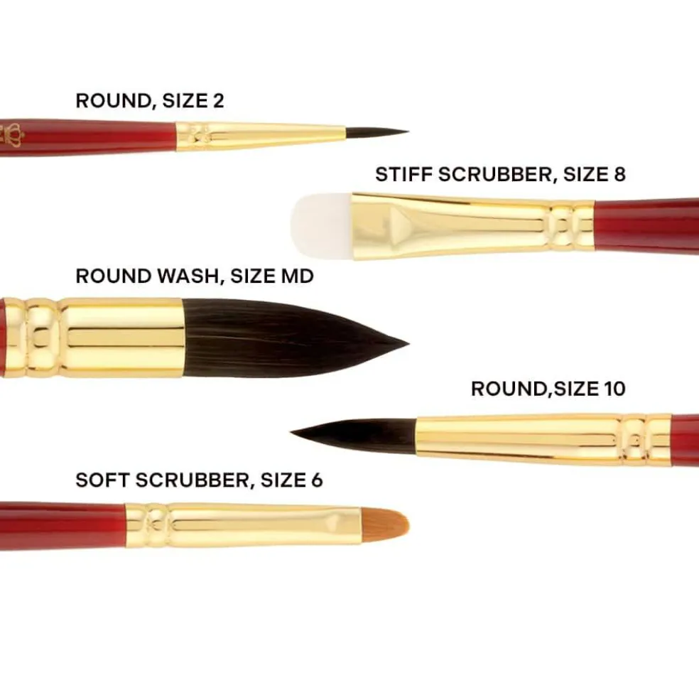 Royal & Langnickel® Nocturna Pro™ Round & Scrubber Variety Brush Set