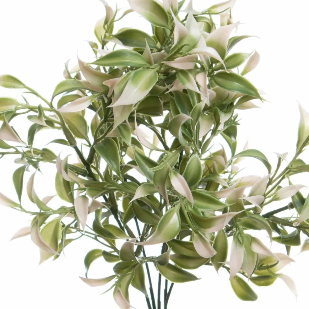 13" Ruscus Bush by Ashland®