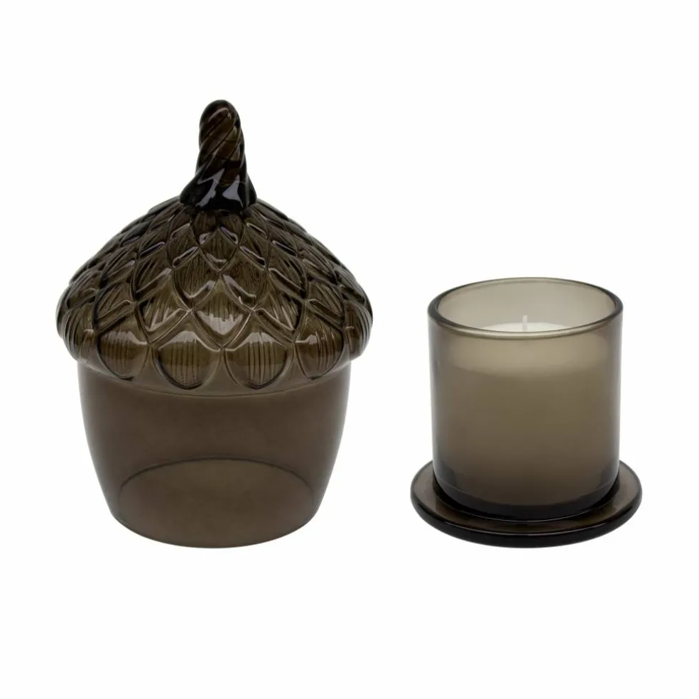 Scented Candle in Acorn Cloche by Ashland®