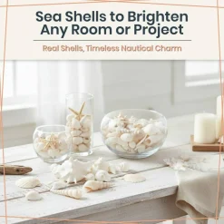Seashell Mix 2 Pounds of White Decorative Seashell Mix for Crafts and Decor