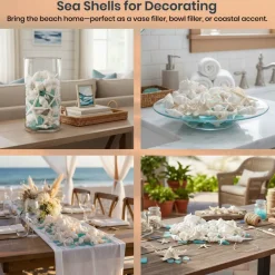 Sea Shells Real Mixed Beach Seashells with Real Starfish & Caribbean Blue Sea Glass White Decorative Seashell Décor & Blue Seaglass Pieces Sea Shells Bulk 1 Pack