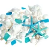 Sea Shells - White Real Mixed Beach Seashells (1lb) with Starfish & Sea Glass - Shells for Crafts - Ocean Decor - Beach Party Decorations - Seashell Decor - Large Shells Crafts