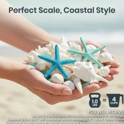 Sea Shells - White Real Mixed Beach Seashells (1lb) with Starfish & Sea Glass - Shells for Crafts - Ocean Decor - Beach Party Decorations - Seashell Decor - Large Shells Crafts