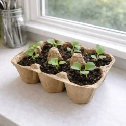 Seed Ball Kit - DIY Easter Egg Radish Seed Blend