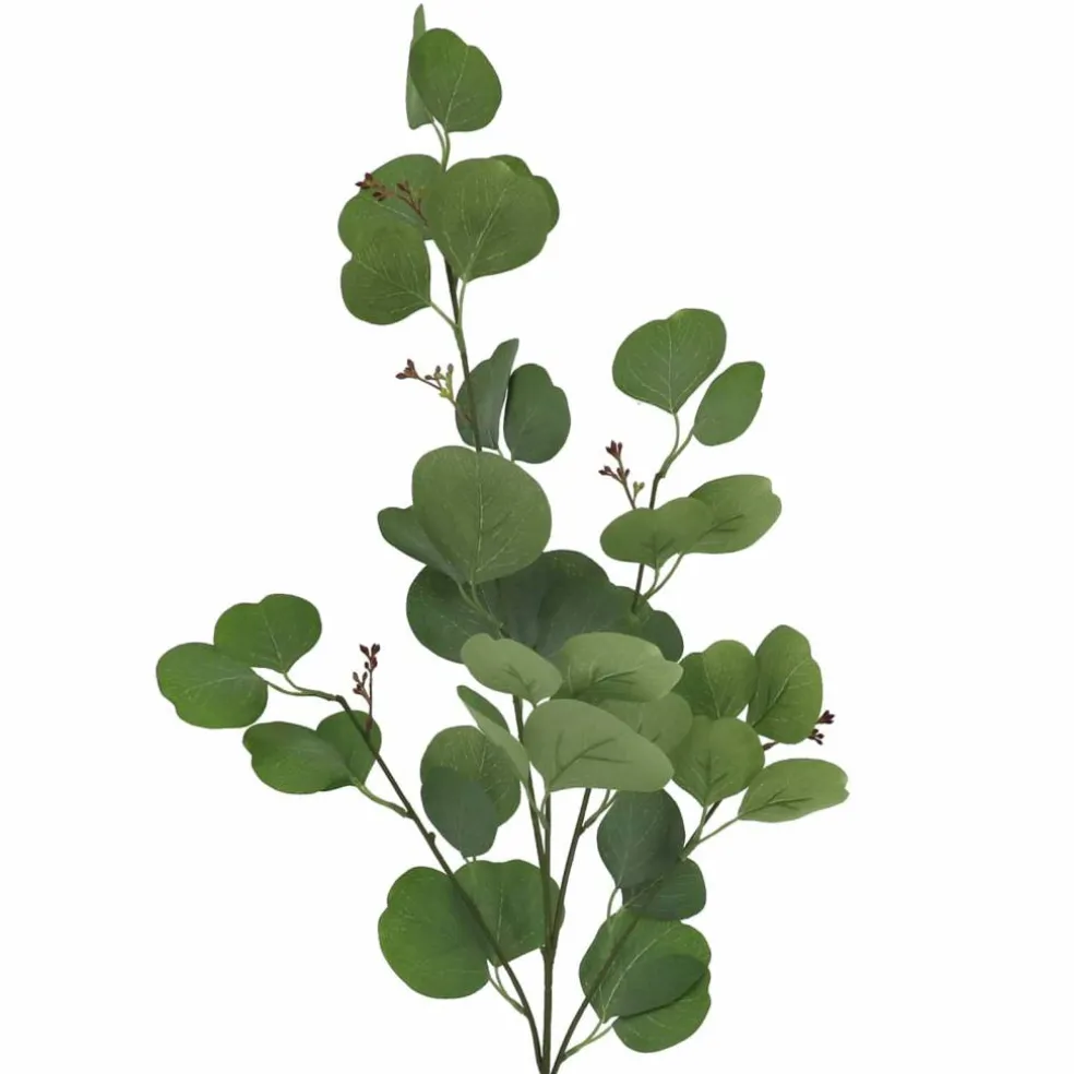 36" Seeded Eucalyptus Stem by Ashland®