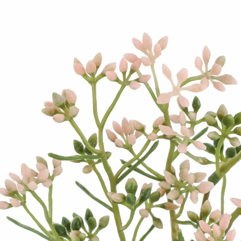 12.5" Seed Pick by Ashland®