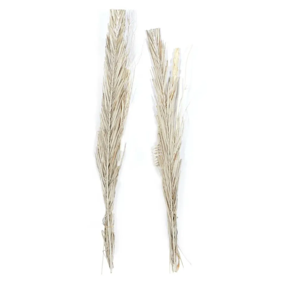 Set of 2" Brown Wood Natural Foliage, 7" x 56"