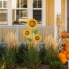 Set of 2 48.25"H Fall Metal Sunflowers Yard Stake
