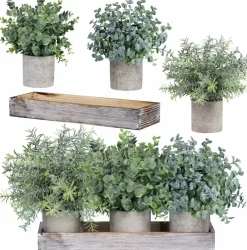 Set of 3 Mini Artificial Eucalyptus & Rosemary Plants in Wooden Planter