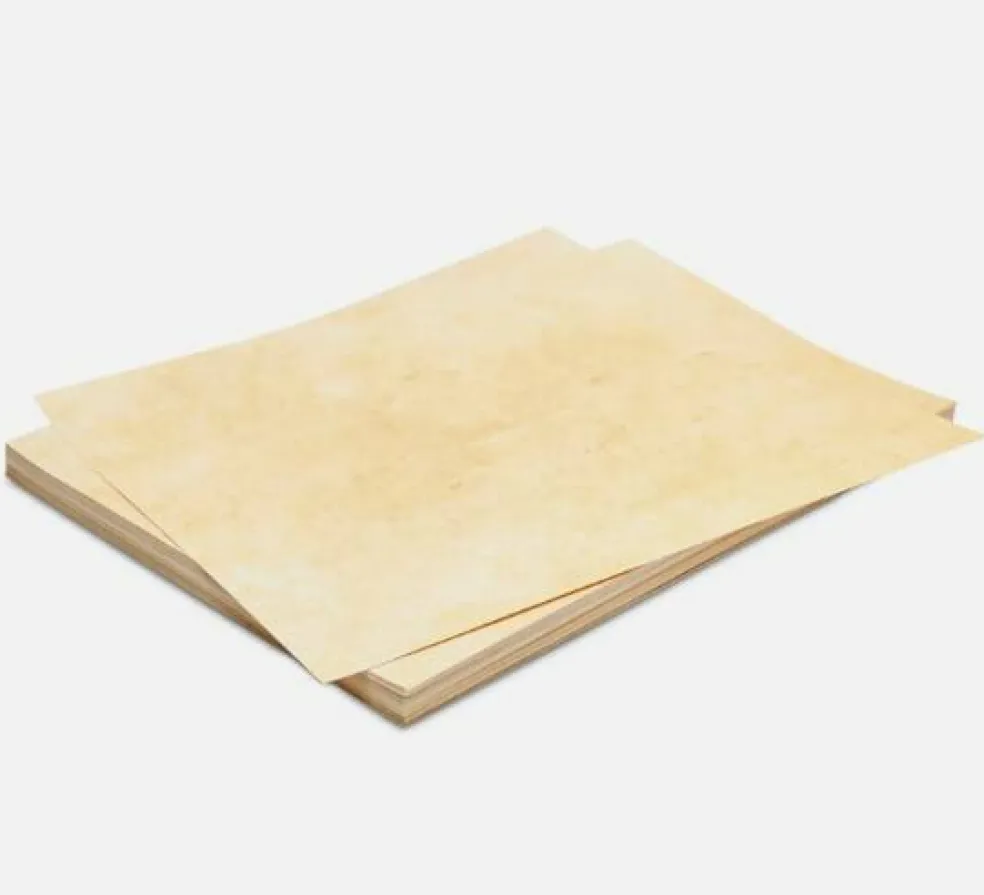 96 Sheets 8.5x11 Inches Old Age Vintage Style Paper