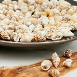 Shell Beads by Bead Landing™