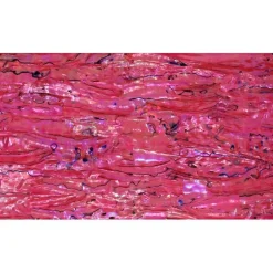 Shell Veneer, 5.5 x 9.5 inches | WMOP, BMOP, Abalone | Includes 3M Adhesive Sheet for Application, Great for Inlay Projects