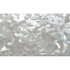 Shell Veneer, 5.5 x 9.5 inches | WMOP, BMOP, Abalone | Includes 3M Adhesive Sheet for Application, Great for Inlay Projects